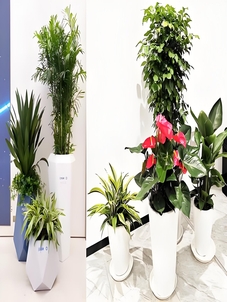 走进宁波前湾绿化养护公司，感受专业绿化养护力量